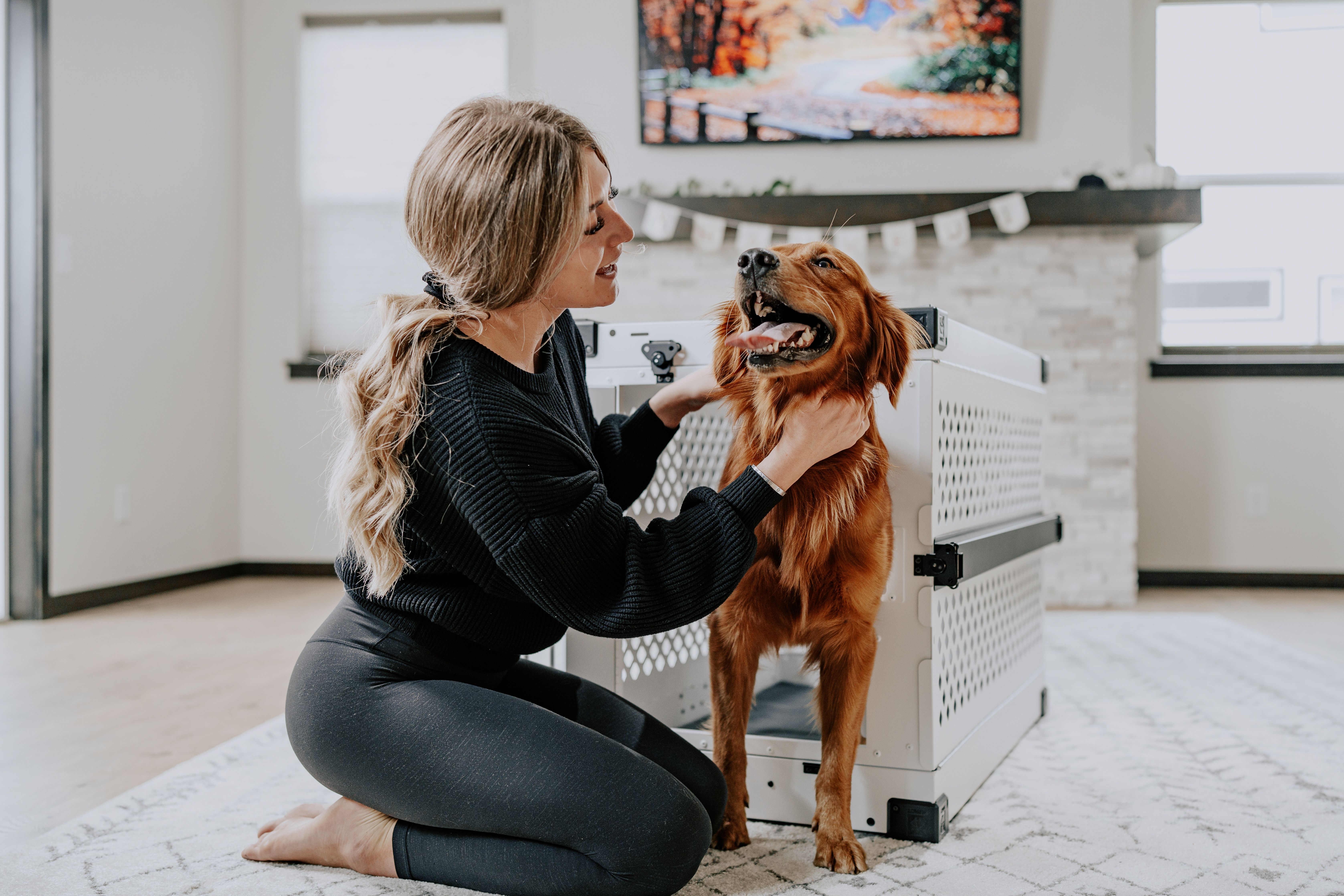 A dog greeting its owner beside an open travel crate at home
